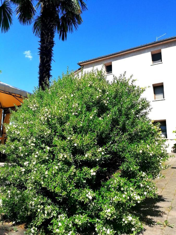 Agriturismo Da Andreina Borso del Grappa Exterior photo